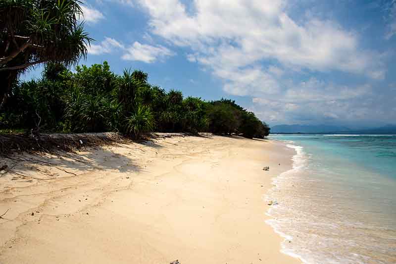 sun-kissed beaches