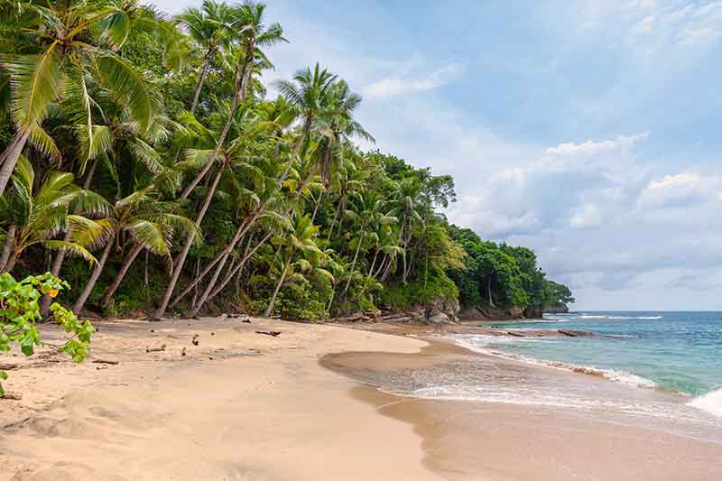 sun-drenched tropical beach