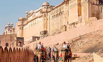 Elephants-Amber-Fort