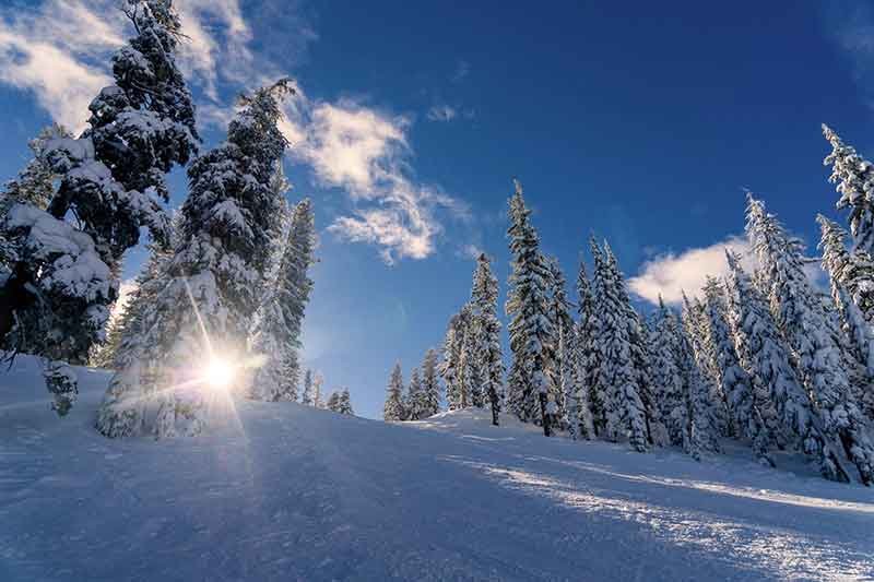 alaskan wilderness - winter wonderland